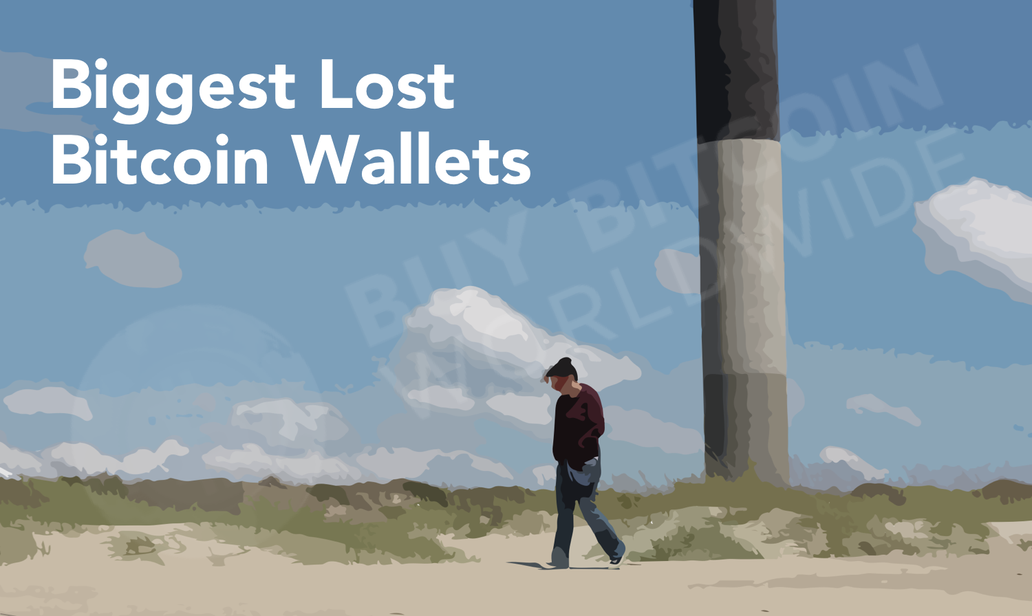 lost wallets