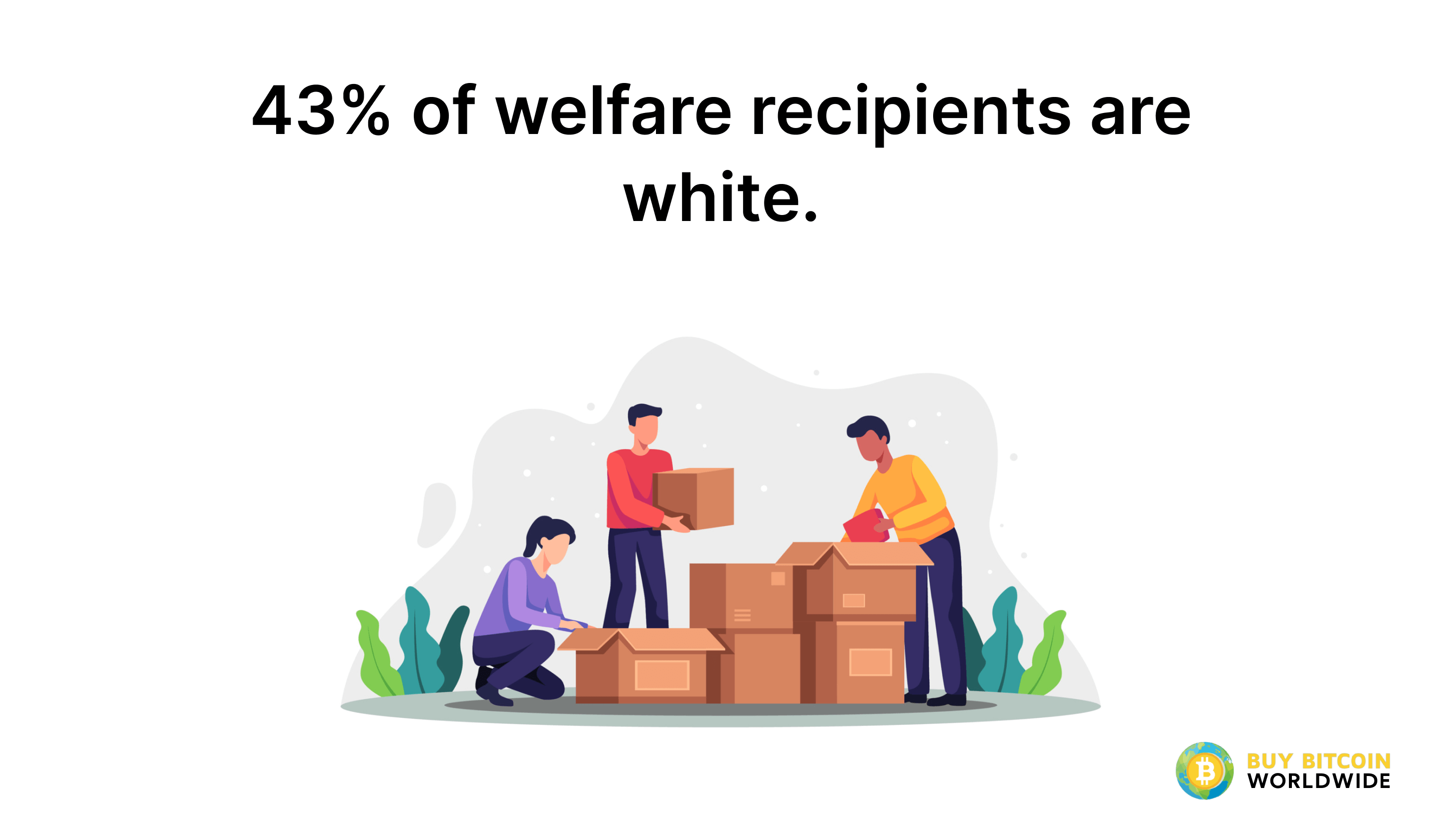 welfare demographics