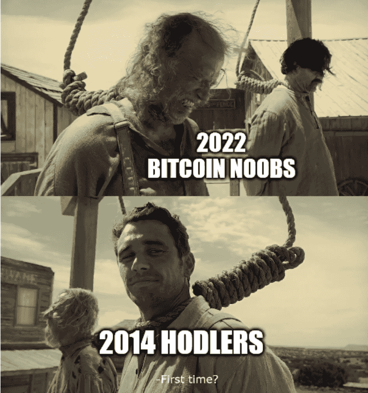 First Time hodlers
