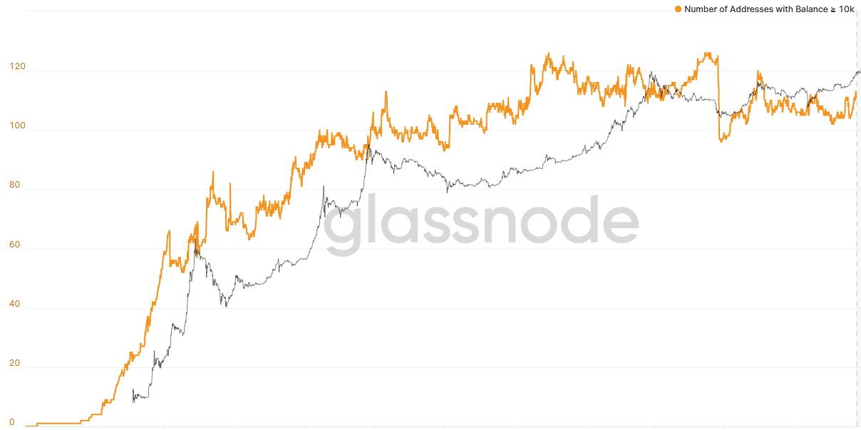 how many addresses own 1 bitcoin 2022