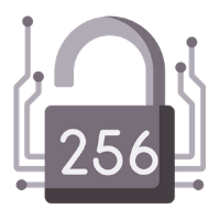 256 bit encryption icon